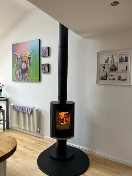 Ovale Pedestal Wood Burning Stove in Blyth