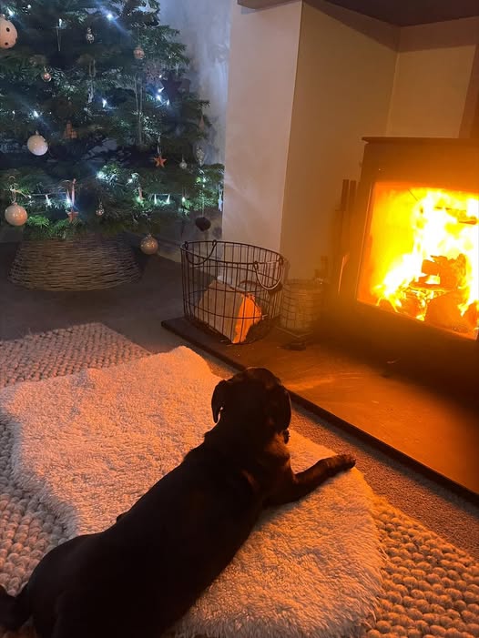 Ovale Pedestal Stove Installation in Blyth