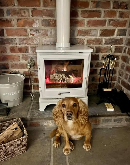 Herald Allure 7 Wood Burning Stove Installation in Walsall