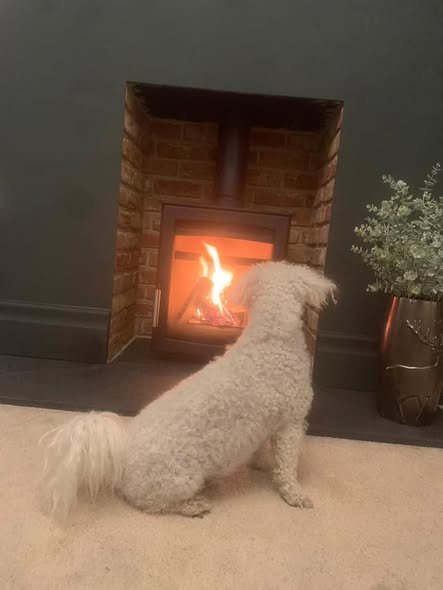 Parkray Aspect 5 Fireplace with Inset TV