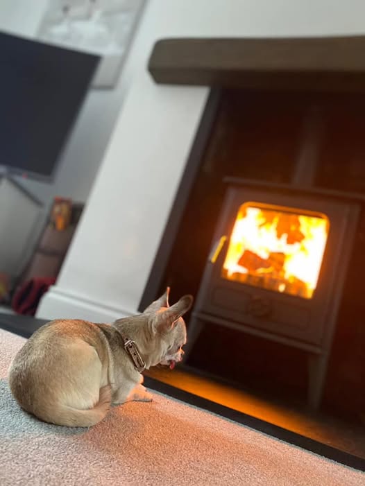 Opened Chimney Breast with Original Brickwork and Stove
