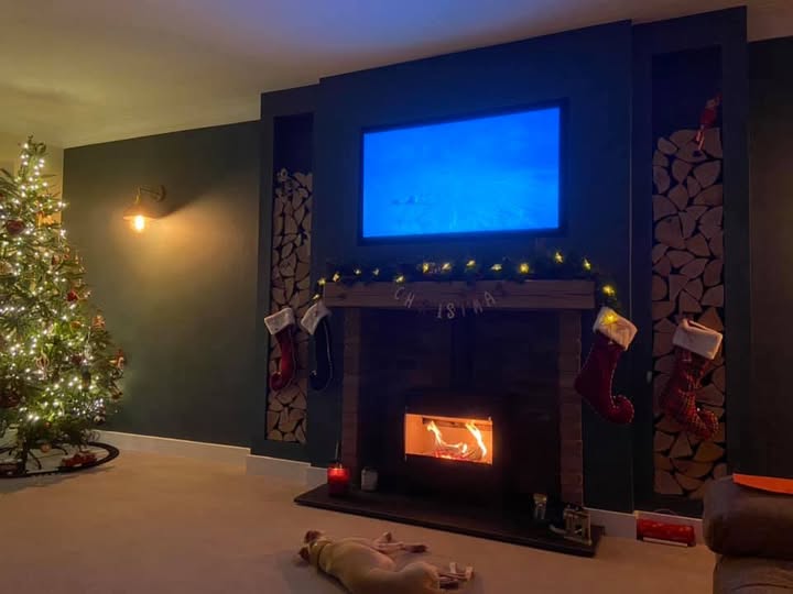 Ecosy Panoramic Stove in Ponteland Extension