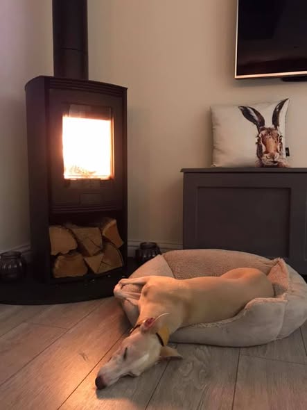 Di Lusso R4 Euro Stove Replacement with Oyster Slate Chamber